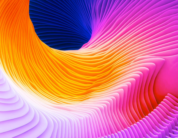 Ari Weinkle – Artist & Designer